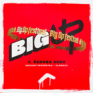 Big Up Festival