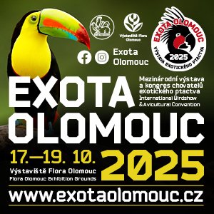 Flora Exota