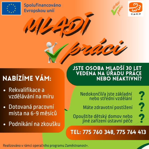 Mladí v práci