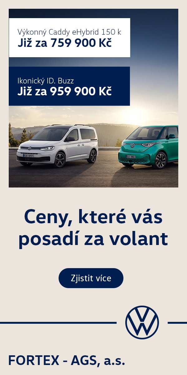 Auto Fortex ID BUZZ