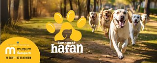 Sumpersky hafan