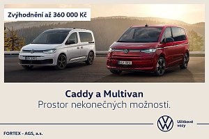 Fortex Auto Caddy a Multivan